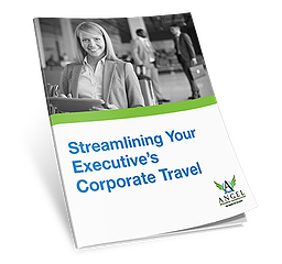 Streamlining executive corporate travel guide